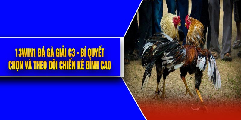 13Win1 Đá Gà Giải C3 - Bí Quyết Chọn Và Theo Dõi Chiến Kê Đỉnh Cao
