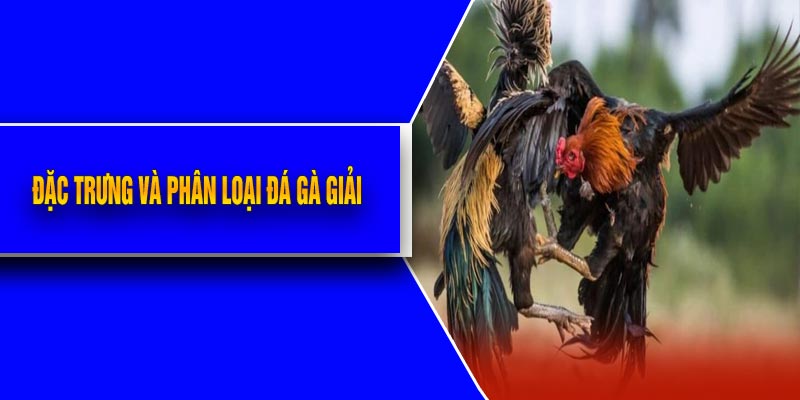 Đặc Trưng Và Phân Loại Đá Gà Giải