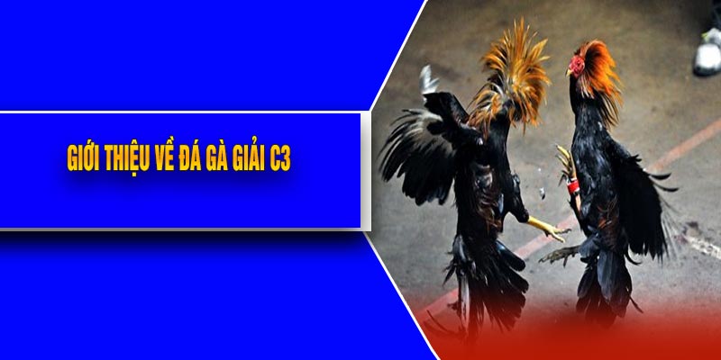 Giới Thiệu Về Đá Gà Giải C3