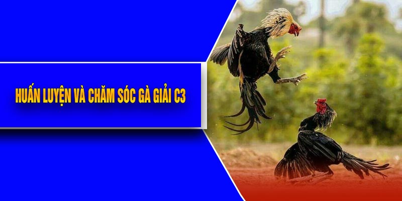 Huấn Luyện Và Chăm Sóc Gà Giải C3