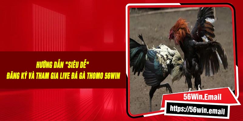 Hướng Dẫn "Siêu Dễ" Đăng Ký Và Tham Gia Live Đá Gà Thomo 56Win