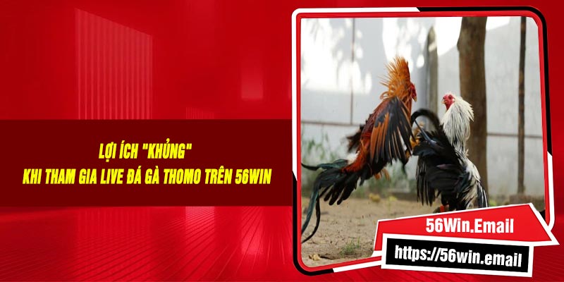 Lợi Ích "Khủng" Khi Tham Gia Live Đá Gà Thomo Trên 56Win